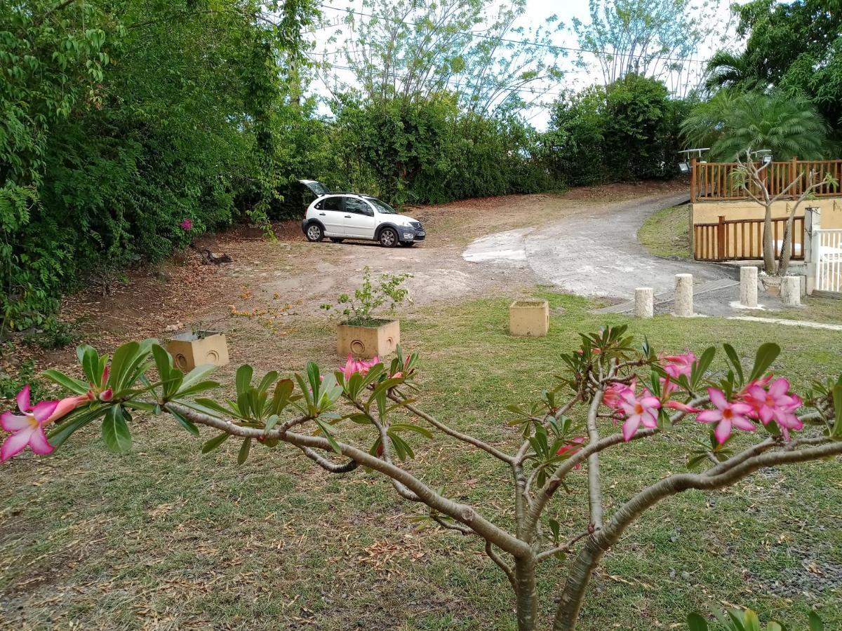 Villa Emmanuel Le Plaisir Des Vacances Sainte-Luce Ngoại thất bức ảnh